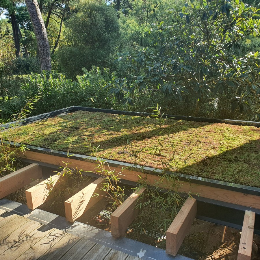 SL20 Architecte - Végétalisation de toiture 