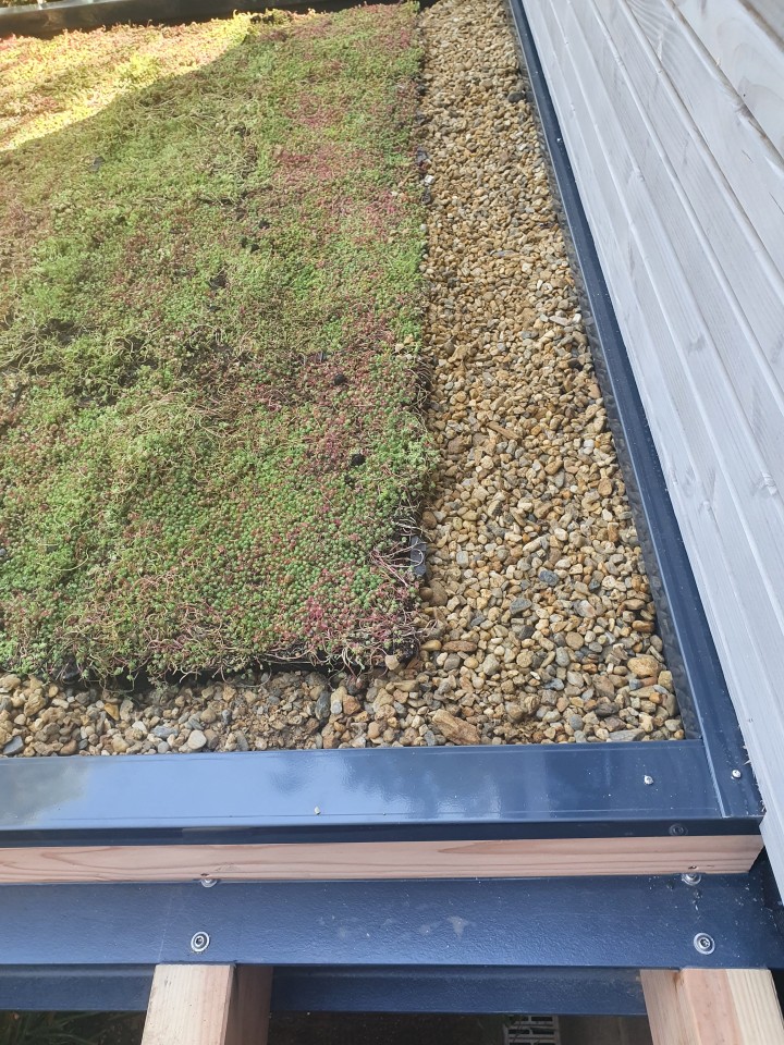 SL20 Architecte - Végétalisation de toiture 