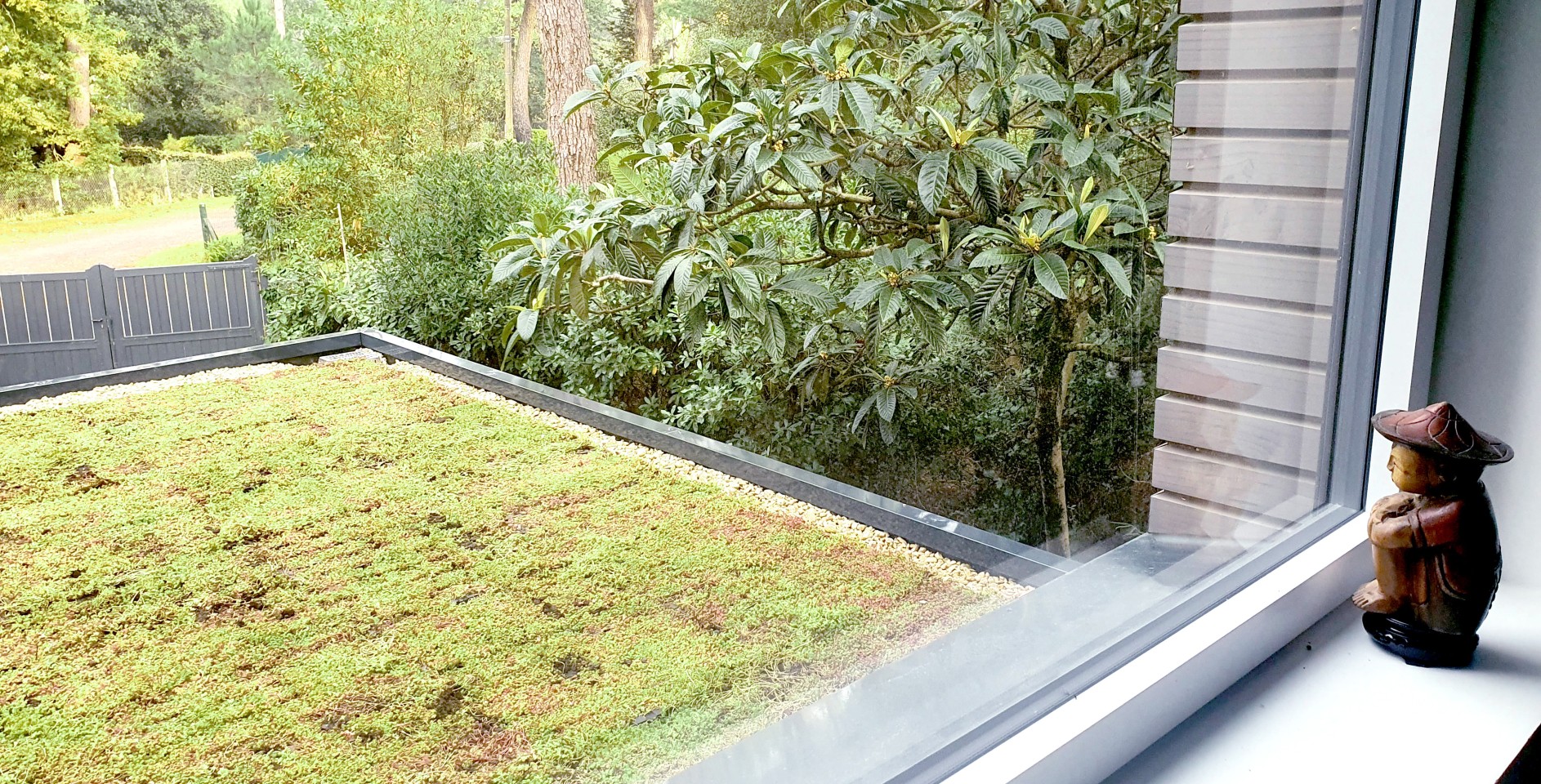 SL20 Architecte - Végétalisation de toiture 