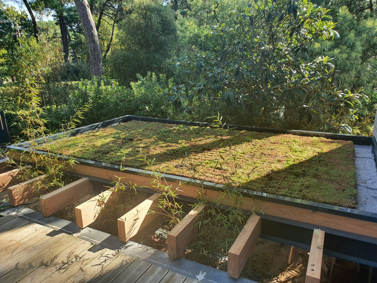 SL20 Architecte - Végétalisation de toiture 